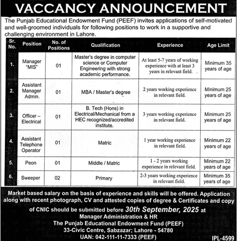 Jobs in The Punjab Educational Endowment Fund Lahore
